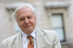 David Attenborough photo from Alan